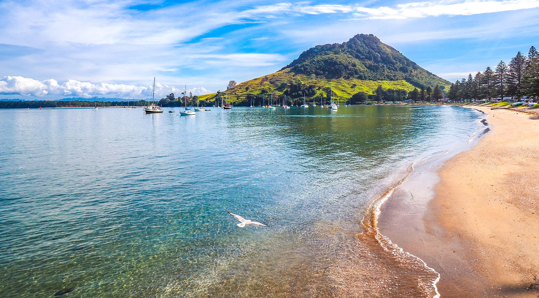 Embrace the Magic of Mt Maunganui!