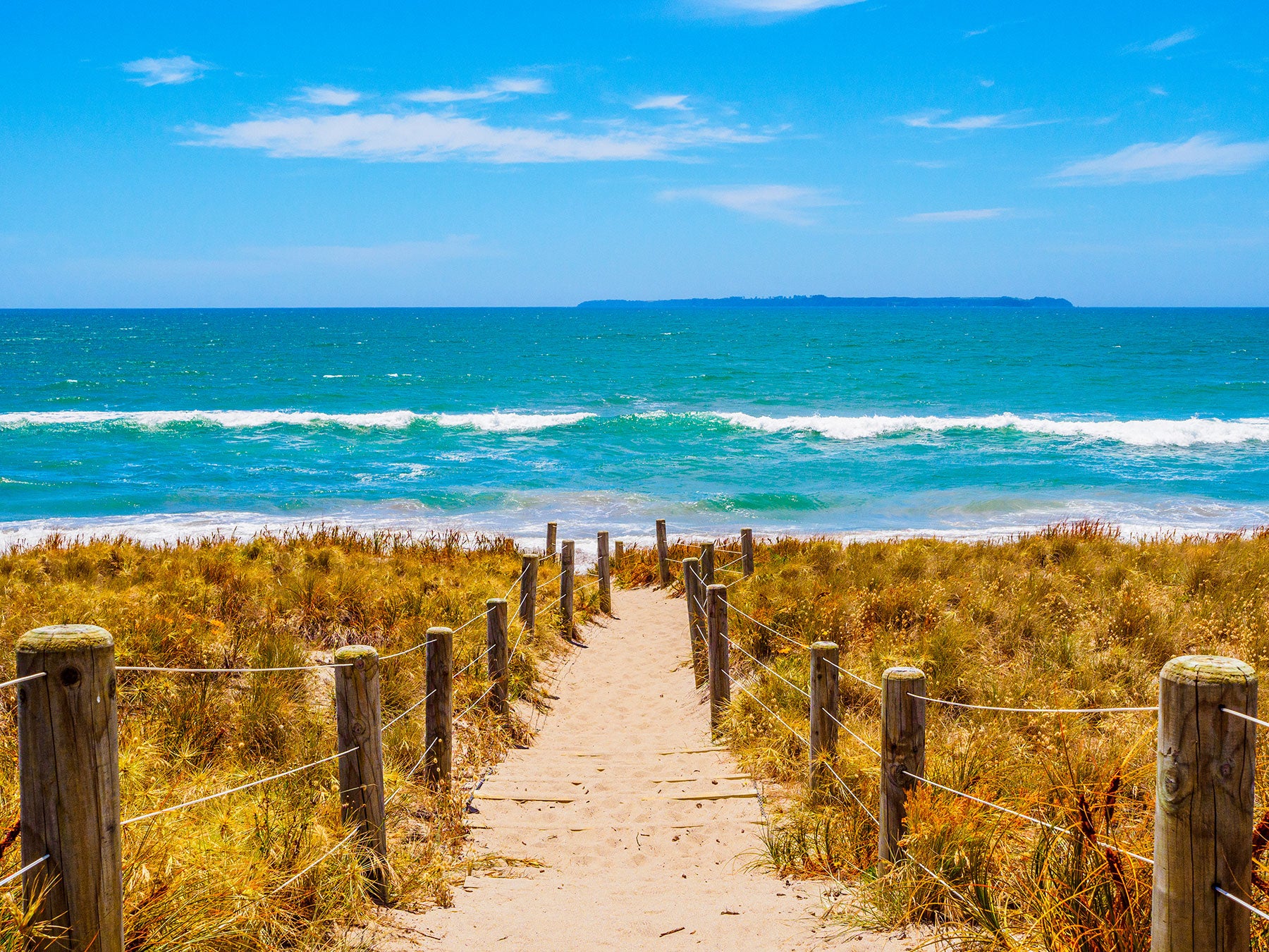 Story behind our new Papamoa Beach Crew